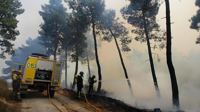 Un Incendio Calcina Tres Hect Reas De Pinar Y Obliga A Cortar La N Vi