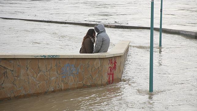 El Ebro comienza a desbordarse en Castejón