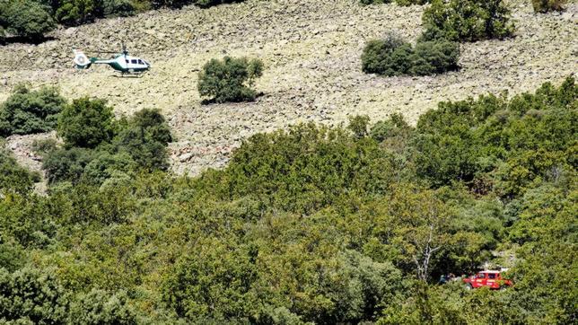 El Colegio De Ingenieros De Montes Sale En Defensa De Los Montes Publicos