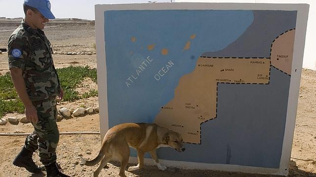 EE.UU. enfada a Marruecos por pedir que se vigilen los derechos humanos en el Sahara