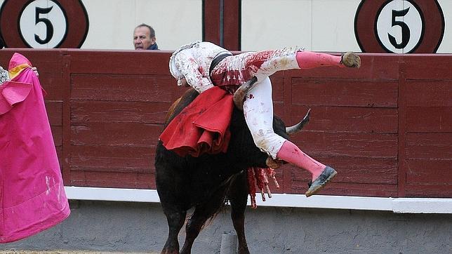 El novillero Rafael Cerro, herido en la ingle en Las Ventas