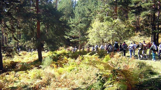 La Sierra de Guadarrama ya puede presumir de ser un Parque Nacional