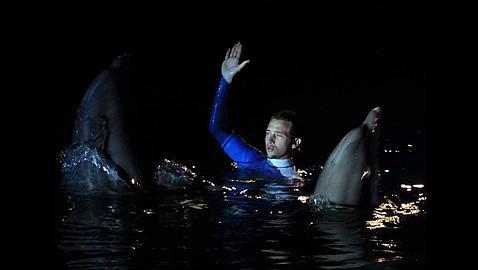Se encienden las noches de verano en Zoo Aquarium de Madrid