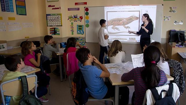 El TC deniega las competencias de la Generalitat para fijar las clases en castellano