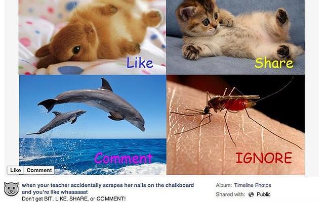 Un ejemplo de una publicación que pide Likes