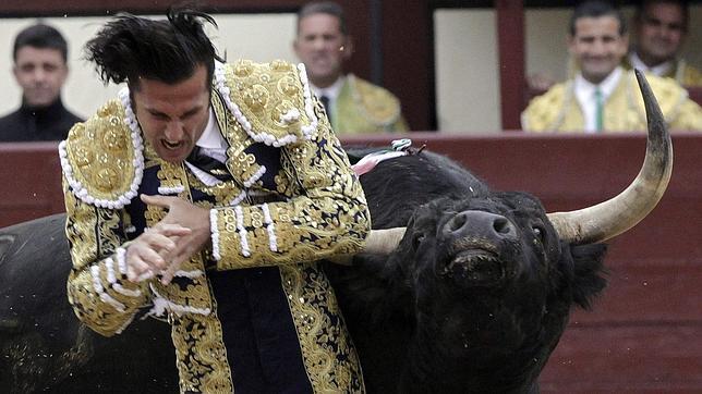 Suspendida la corrida en Las Ventas con los tres matadores en la enfermería