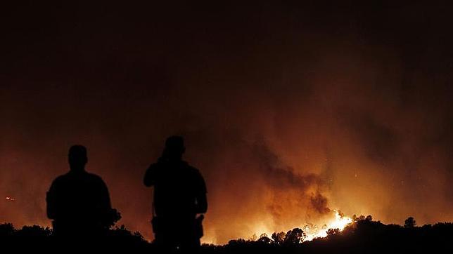 La protección de la biodiversidad depende de todos, subrayan desde el Magrama