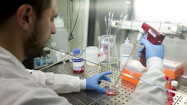 El Gregorio Marañón crea un gel para prevenir el VIH por vía sexual