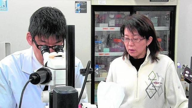 La responsable del Instituto Riken, Masayo Takahashi, una de las impulsoras del primer implante mundial de células iPS en humanos