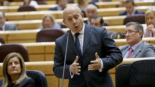 Wert, durante su comparecencia hoy en el Pleno del Senado