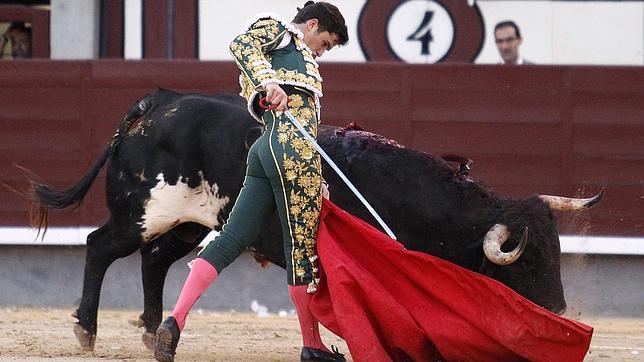 Daniel Luque dibujó bonitos muletazos al sobrero de Pereda, negro salpicado