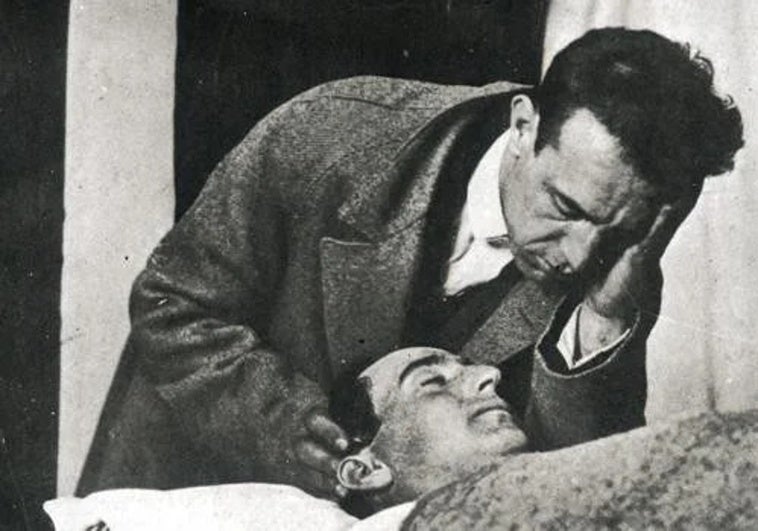 Tjurfäktning, vetenskap om livet