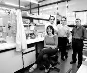 El equipo de investigadores en los laboratorios del Instituto Cavanilles.ISRAEL GARCÍA