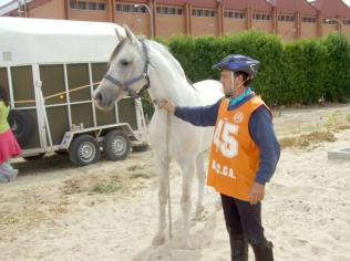 Caballos todoterreno