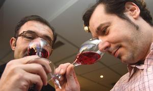 Dos vasos de vino al día para prevenir la «oxidación» de las neuronas