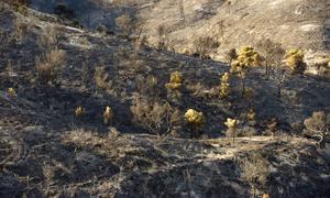 Los pueblos afectados por el incendio de San Gregorio exigen saber las causas