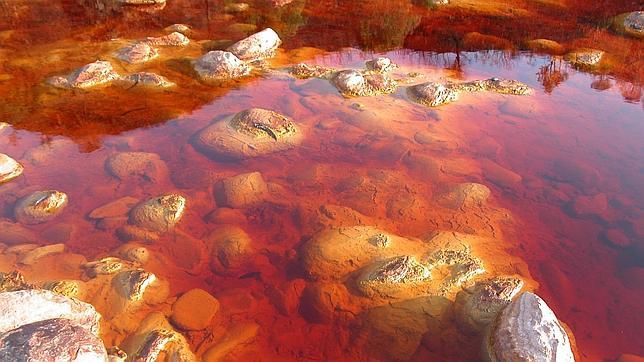 Vida extraterrestre en Nueva Zelanda