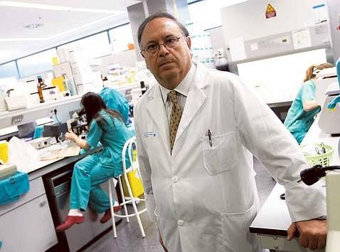 «Los animales tratados no salían corriendo, pero caminaban»