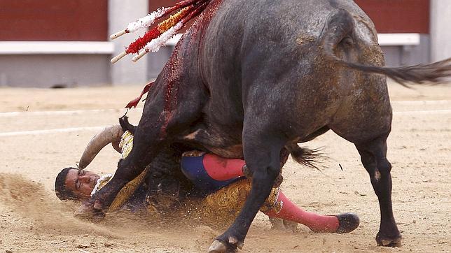 Ignacio Garibay: «Una cornada es algo muy torero»
