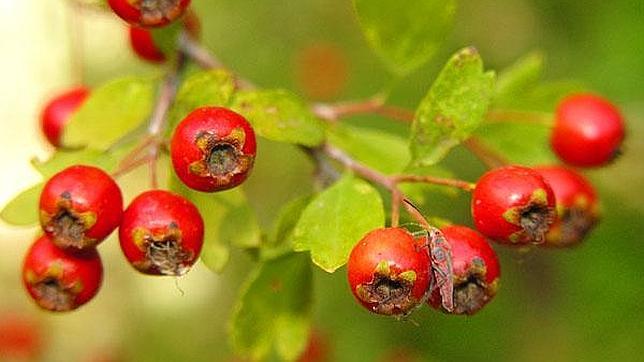 Hay capital natural suficiente para asegurar el bienestar de las generaciones futuras