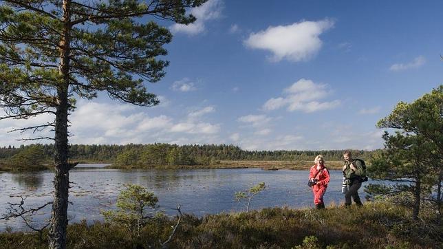 El país con wifi gratuito en bosques y gasolineras