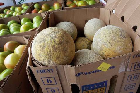 Ascienden a 18 los muertos en EE.UU. por melones infectados de listeriosis