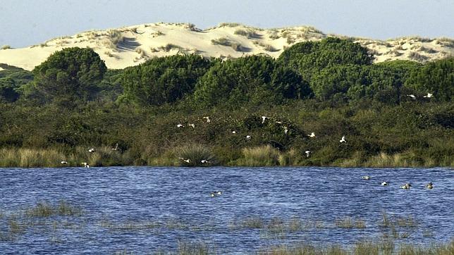 WWF celebra el Día Mundial de los Humedales pidiendo «cambios urgentes» en la gestión del agua