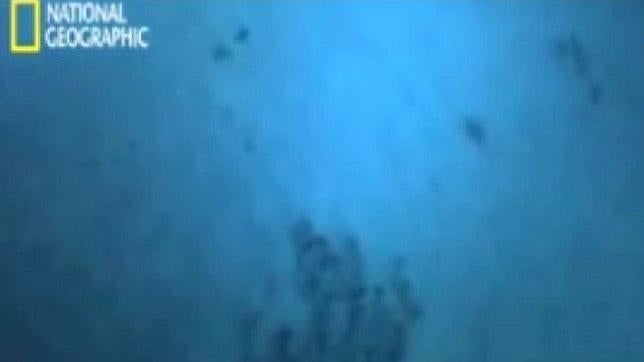 Primeras Imagenes Del Abismo Challenger El Punto Mas Profundo De