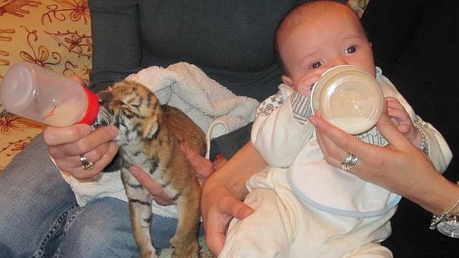 Un Nino Criado Entre Fieras