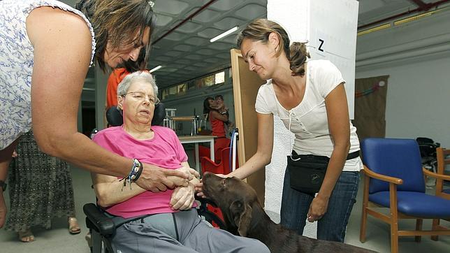 La terapia con perros explora nuevas utilidades en residencias de mayores