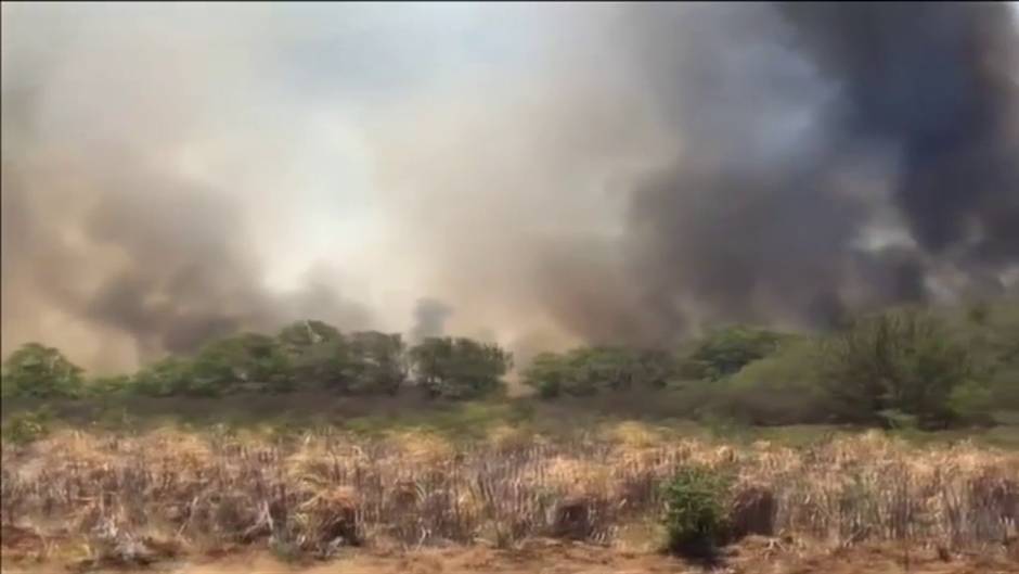 Devastador incendio en Hawái provoca la evacuación de miles de residentes