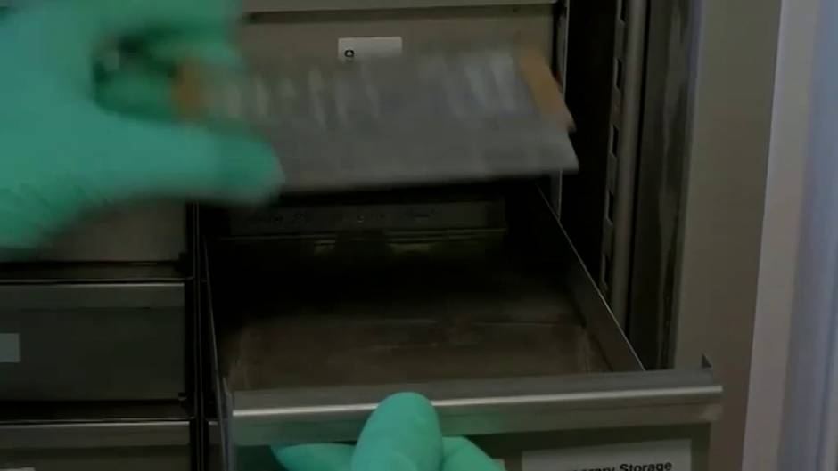 Bayer y CureVac se alían para desarrollar una vacuna ...