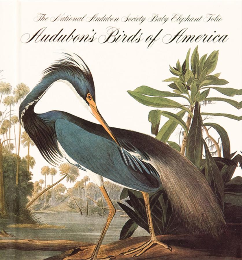 Birds of América