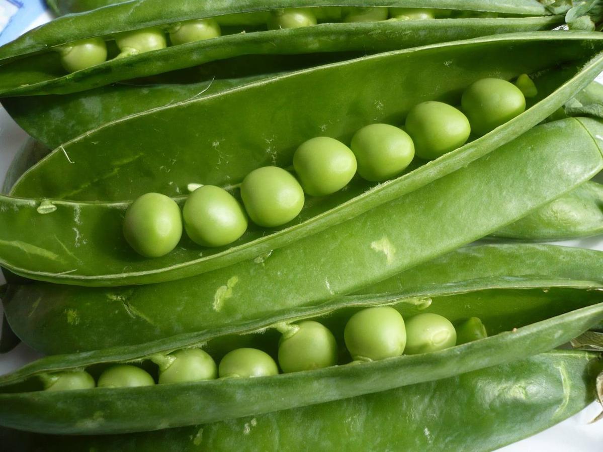 Dieta guisantes