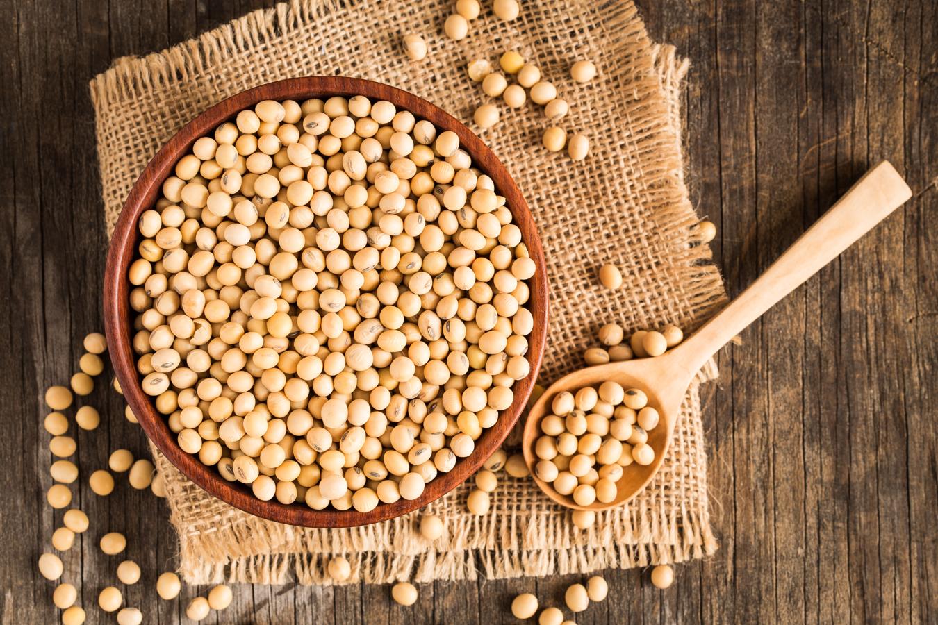 soja-grano-kNqD--1350x900@abc