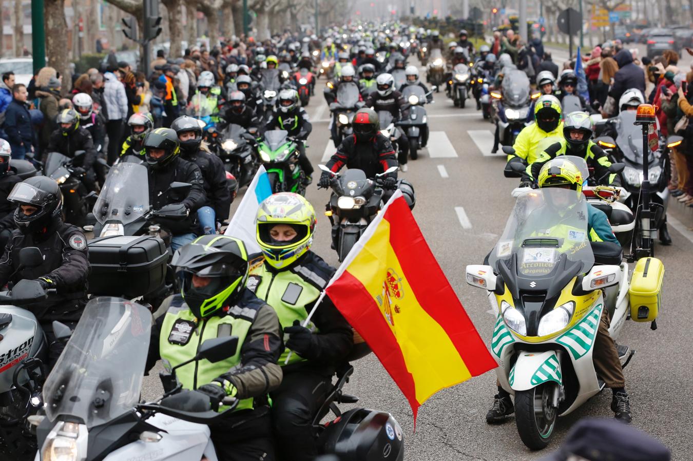 Así Ha Sido El Desfile De Banderas De Pingüinos En Valladolid