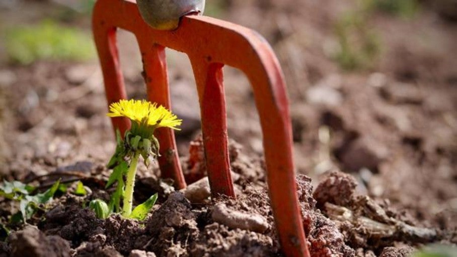 Eso que admiras del que parece fuerte no es un «superpoder», sino resiliencia