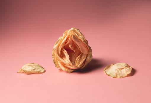 que usar para picazon en la vulva