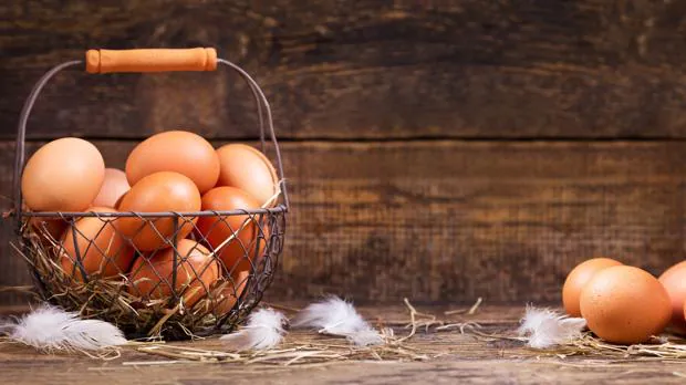 Realfooding: 10 recetas sanas y originales con huevo
