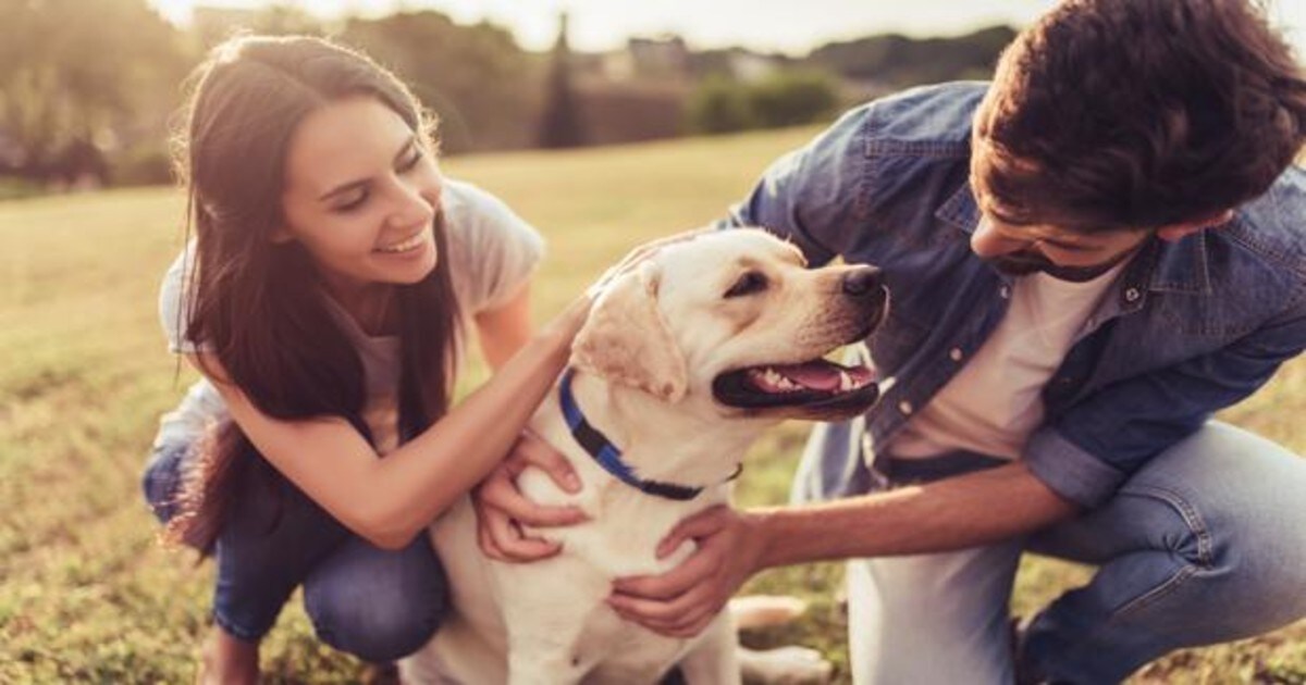 Cómo puede influir tu mascota en tu relación amorosa