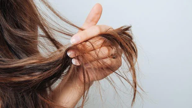 Cuidados capilares: Desmontando mitos: ni el gel es bueno para el pelo ni  es malo lavarlo cada día