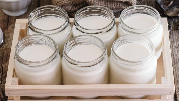 Ordinario cavar Espinas Coronavirus: La forma de preparar yogur casero sin yogurtera