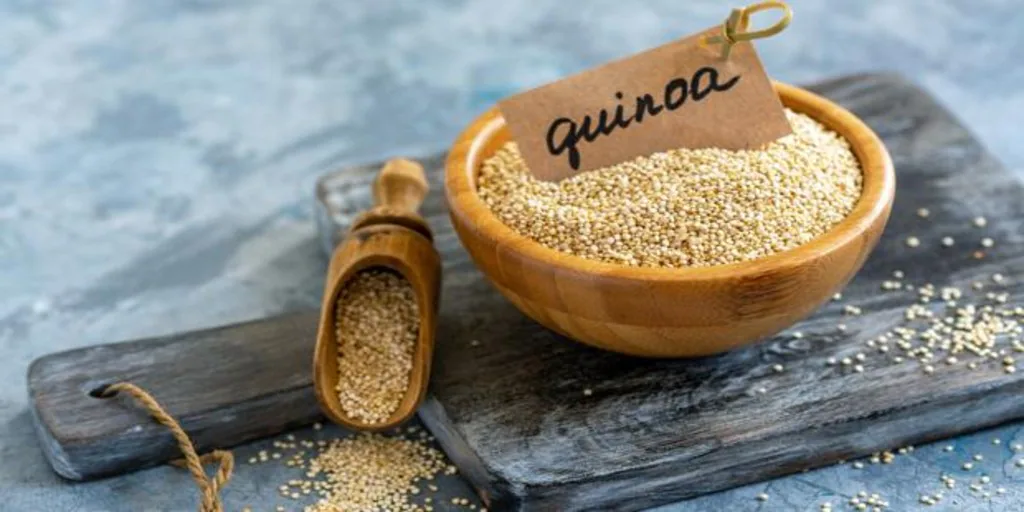 Cómo Cocinar La Quinoa, El «casi Cereal» Rico En Hierro Y Proteína Vegetal