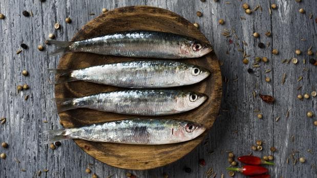 Beneficios de las sardinas y cómo diferenciar las que están en buen estado