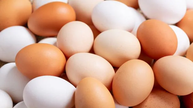 Qué diferencia hay entre un huevo blanco y uno de cáscara oscura?