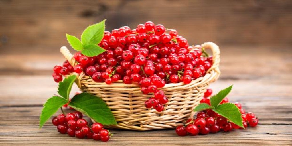 Grosella: la fruta que cuida tu vista