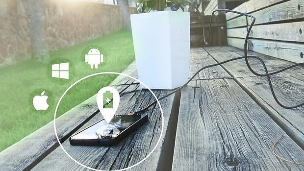 La tecnología es capaz de convertir la fotosíntesis de las plantas en una fuente de energía