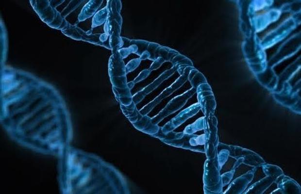 En el horizonte está investigar y encontrar nuevos tratamientos contra enfermedades hereditarias