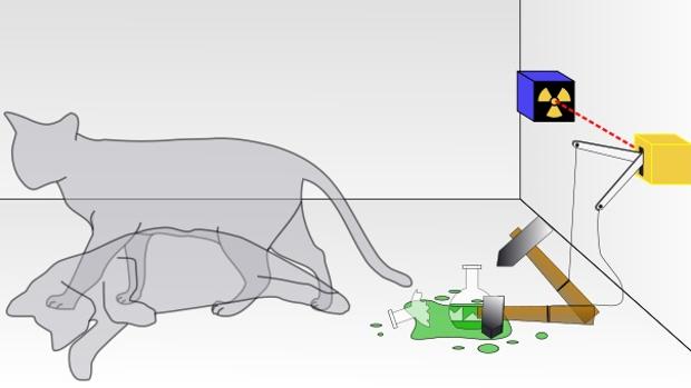 En esta situación ideal, el gato está vivo y muerto a la vez hasta que alguien lo observa