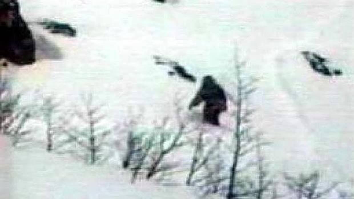 El misterio del Yeti, resuelto por el ADN esto es en realidad
